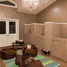 Turn your closet into a dog room. Dog Room Houzz