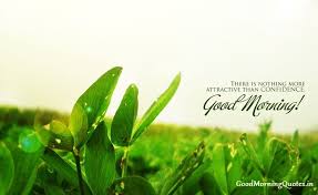 10 Best Inspirational Good Morning Images With Nature Quotes Good Morning Images Good Morning Wallpaper Free Good Morning Images