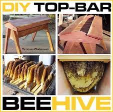 If You Are Looking To Become Self Sufficient A Good Place To Start Is To Have A Beehive In Your Backyard A Top Bar Top Bar Bee Hive Bee Keeping Bee