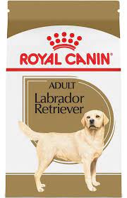 Simply, they connect you with the breeders and sellers of silver labrador puppies. Royal Canin Breed Health Nutrition Labrador Retriever Adult Dry Dog Fo Petsense