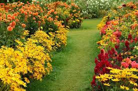 Jeden Sommer Ein Neuer Garten Gartenzauber Einjahrige Pflanzen Stauden Garten
