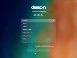 Not sure if this is a theme question or a forum question, but here goes. Installation Deepin Technology Community