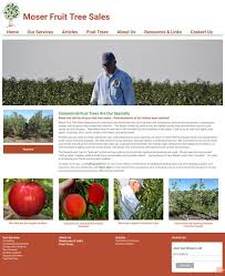 Specializing in pawpaw trees, mulberry trees, fig trees, apple trees, elderberry plants, fruit trees, berry plants and certified organic trees for sale online. Moser Fruit Tree Sales Cci Client