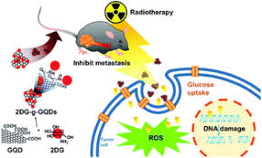 11,633 2 dg products are offered for sale by suppliers on alibaba.com, of which diesel generators accounts for 12%, pumps accounts for 1%, and derma rolling system accounts for 1. One Stop Radiotherapeutic Targeting Of Primary And Distant Osteosarcoma To Inhibit Cancer Progression And Metastasis Using 2dg Grafted Graphene Quantum Dots Nanoscale Rsc Publishing