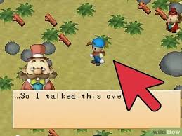 Check spelling or type a new query. How To Succeed In Harvest Moon Back To Nature With Pictures