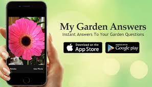 Garden Answers Plant Identification
