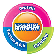 A case in point at the time of this study is the healthier choice logo criteria were limited to selected foods within categories 55. Goodness Of Milk Dutch Lady Malaysia
