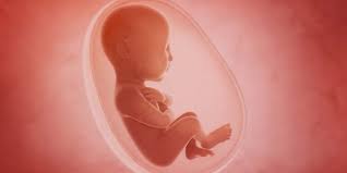 How Do Babies Breathe In The Womb Cloudnine Bloghow Do Babies Breathe In The Womb