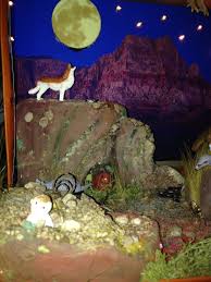 Desert Biome In A Box Pin By Julie Maddox On Desert Habitats Projects Desert Diorama 3rd Grade Science Projects