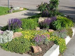 Pin By Randi Opperman On Landscape Drought Tolerant Garden Xeriscape Texas Landscaping