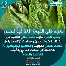 تعرف على القيمة الغذائية للخس green beans asparagus vegetables