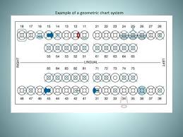 Dental Charts To Help You Understand The Tooth Numbering