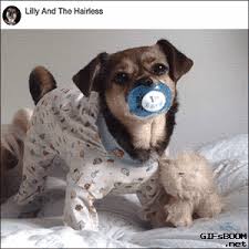 Https Encrypted Tbn0 Gstatic Com Images Q Tbn 3aand9gcr Orxreajcp8trncy3rj7bztxpdlmcwg1nvq Usqp Cau