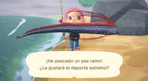 This page will teach you how to catch a napoleonfish in animal crossing: Animal Crossing New Horizons Wie Man Einen Ruderfisch Fischt
