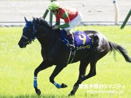 ユーバーレーベン 掲示板投稿者ランキング 投稿数順 いいね!順 利用者数1100万人突破!no.1競馬サイト カテゴリ ニュース レース ウマい馬券 コラム netkeibatv 地方競馬 データベース ブックス 俺プロ 一口馬主 pog 競馬広場 まとめ. Sl5cnkyvmob Nm