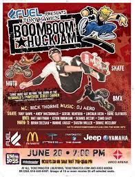Boom Boom Huck Jam Tony Hawk Andy Macdonald Tony