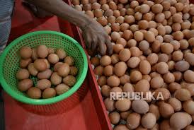 Ada pak, peking kw, hibrida dan mojosari pak. Kala Harga Telur Ayam Tembus Rp 30 Ribu Per Kilogram Republika Online