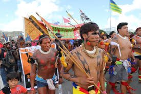 Empowering indigenous peoples crucial to climate, biodiversity crises: Stop Brazil S Genocide Survival International