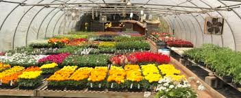 We would like to show you a description here but the site won't allow us. Hall S Flower Shop Flyline Search Marketing Blog