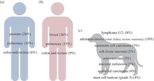 My dog has cancer but acts fine. Comparative Oncology What Dogs And Other Species Can Teach Us About Humans With Cancer Philosophical Transactions Of The Royal Society B Biological Sciences
