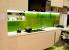 Printed Glass Splashbacks