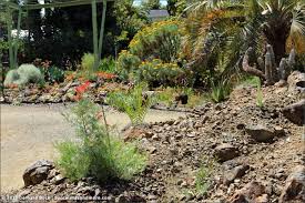 Ruth Bancroft Garden June 2017 plant porn