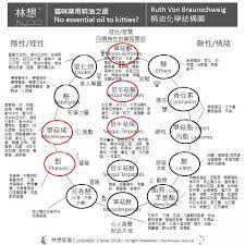 什麼官能基 單萜烯 我的老天鵝調配精油得有化學能力我的精油化學學習筆記 天元的談天說地聊行銷 essential oils ketones aromatherapy