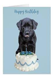 Black Lab Birthday Card Dog Birthday Card Zazzle Com Dog Birthday Card Happy Birthday Black Happy Birthday Dog