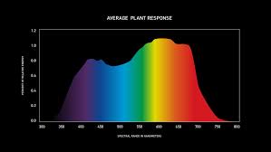 Repost from migro • a test and review of the growlightscience grow 300 led growlight is a high efficiency grow light and great value for money. Daan Roosegaarde S Grow Installation Combines Lighting And Agriculture