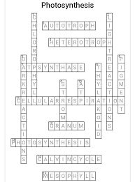 Check question and get your correct answers this is total 4 version quiz so complete it carefully. Make A Crossword Puzzle On Photosynthesis Brainly In