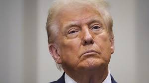 Bridges: The Spans of North America (A Studio book)|David Plowden.