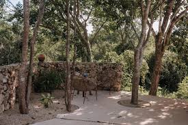 Image result for Galopina