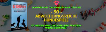 Es kann zum einen den hund punktgenau für erwünschtes verhalten … mrz 7, 2018. Das Hundespielebuch 50 Hundespiele Fur Zuhause Und Unterwegs Mit Hundetraining Hundeerziehung Und Hundespielzeug Selber Machen Zu Mehr Abwechslung Im Alltag Inklusive 55 Hundeleckerlirezepten Academy Dogbuddies Amazon De Bucher