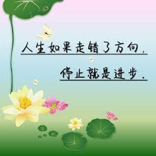 很多人说 人生如果走错了方向 停止就是进步 Morning Quotes Quotations Quotes