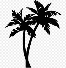 Feel free to download, share and use them! Alm Tree No Background Free Clipart Images 2 U2013 Palm Tree Silhouette Sv Png Image With Transparent Background Toppng