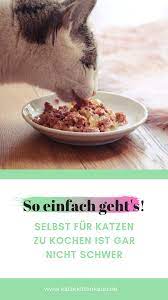 kochen fur katzen katzen ernahrung katzen futter rezepte katzen