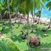 Pantai yang berlokasi di ujung selatan provinsi bengkulu menjelang perbatasan dengan lampung. Https Encrypted Tbn0 Gstatic Com Images Q Tbn And9gcsyeluajf5reox7s45cdvdywdmsrpgxolzuiezph3zmtic Tcls Usqp Cau