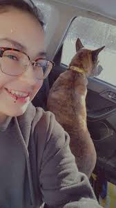 WINTER TIRES" 205/65r/16 winter warriors. In very good condition and still  looks new. Only used in last winter with very less kms on. U can add studs 