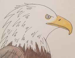 Draw An Eagle With Oils Perfect For Classical Conversations Cycle 3 Yellow Spot Sun Affordable Online Ar Fine Art Drawing Classical Conversations Cycle 3