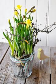 Narzissen Ostern Blumen Fruhlingsblumen Deko Fruhling