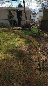 797 x 532 jpeg 257 кб. Patio Lawn Garden 12pieces Backyard X Scapes Bamboo Borders 875in D X 8in H X 23in L Gardening