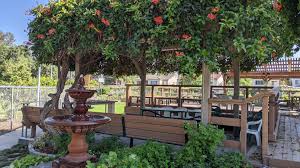 Shop for raised garden beds in garden center. Home