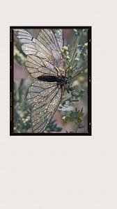 We did not find results for: Aesthetic Butterfly Wallpaper Pink Largest Wallpaper Portal