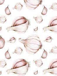 Free Garlic Hd Illustration Png For Kitchen Home Decor Decoration Wall Art Cheap Free Design Ideas Cheap Wall Art Illustration Garlic