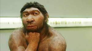Check spelling or type a new query. Mysterious Denisovans Interbred With Modern Humans More Than Once Cnn