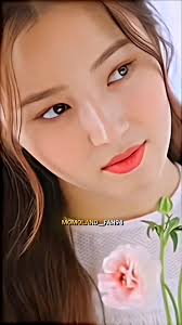 Nancy Momoland Member Apa