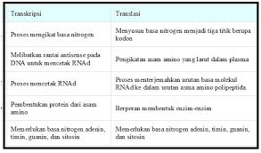 Soal Biologi Dan Pembahasan Tentang Sintesis Protein Biologi