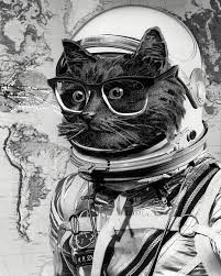 Pin On Faca Voce Mesmo Diy