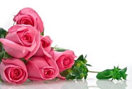 the best variety of flowers to delhi make the person very special posts by muskan pahuja rose flower wallpaper pink rose bouquet rose wallpaper