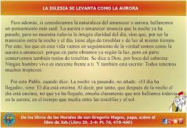 Misioneros De La Palabra Divina Reflexion Reflexion Pensamientos 28 De Julio